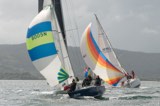 blue fin 8005n lemarac 4040c whyw23 sun 800 3064